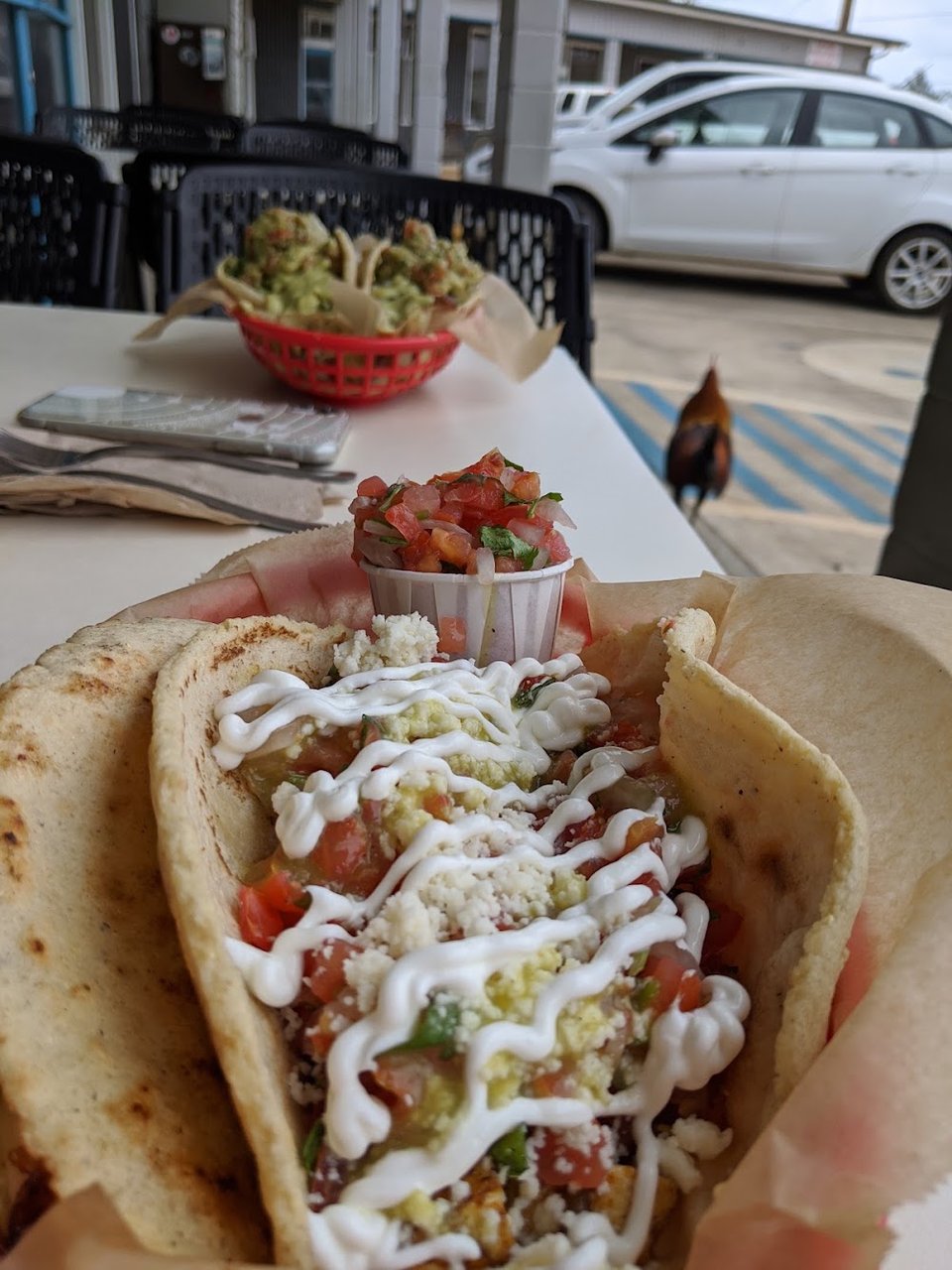 Marinated Tofu Taco